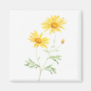 Gult Margaret daisy vattenfärg Magnet