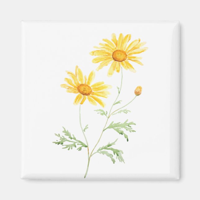 Gult Margaret daisy vattenfärg Magnet (Framsidan)