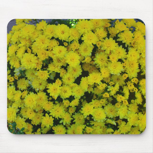 Gult Margarita Daisy Mousepad Musmatta (Framsidan)