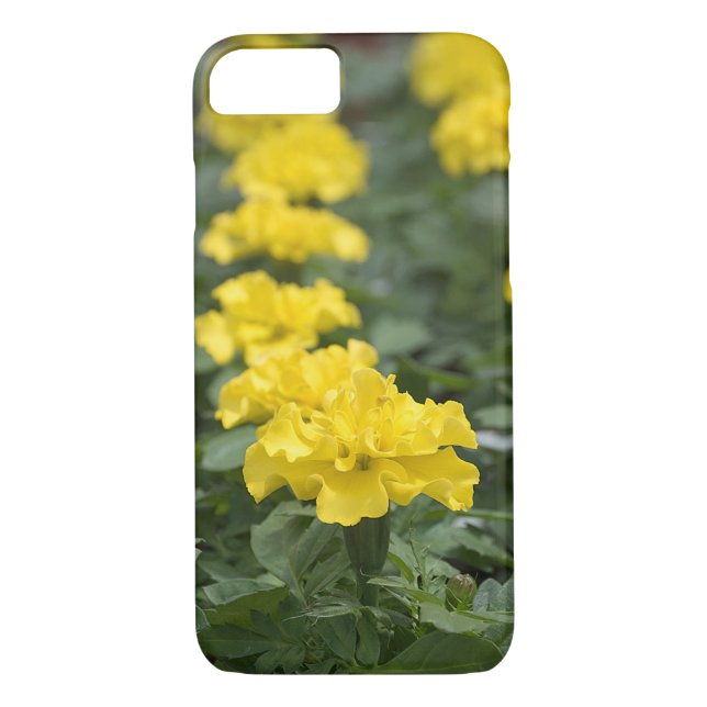 gult marigold-blomma Case-Mate iPhone skal (Baksida)