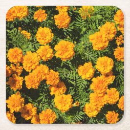 Gult Marigold-blommor  Underlägg Papper Kvadrat