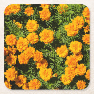 Gult Marigold-blommor Underlägg Papper Kvadrat