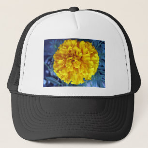 Gult Marigold Keps
