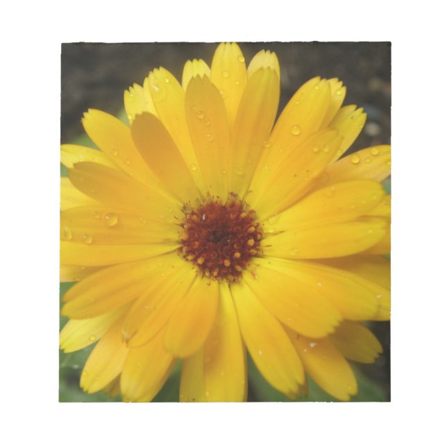 Gult Marigold Macro Anteckningsblock (Framsida)