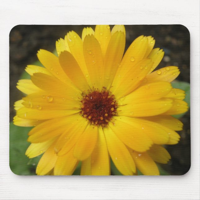 Gult Marigold Macro Mousepad Musmatta (Framsidan)