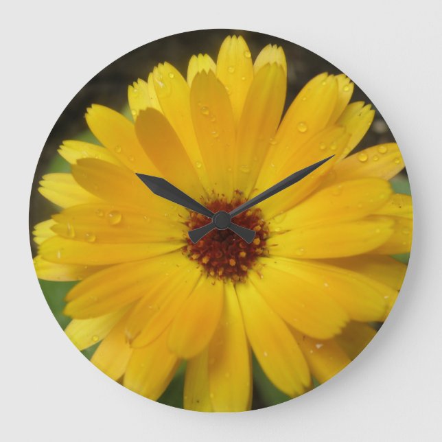 Gult Marigold Makro Wall Clock Stor Klocka (Framsida)