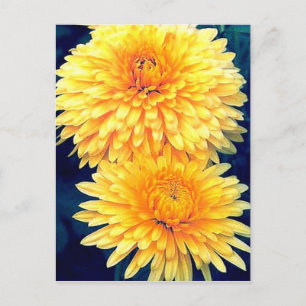 Gult Marigold Vykort