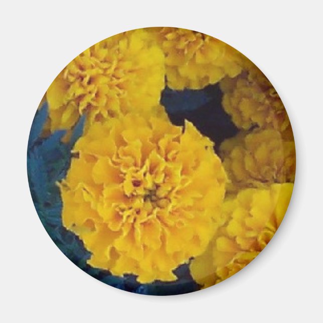 Gult Marigolds Magnet (Framsidan)