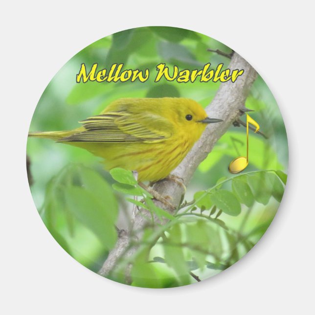 Gult (Mellow) Warbler-magnet Magnet (Framsidan)