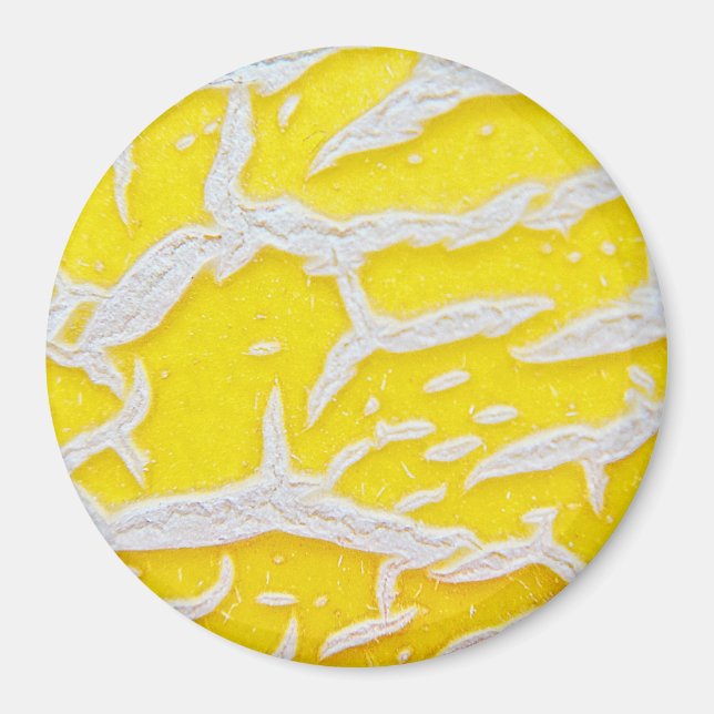 Gult melon mönster magnet (Framsidan)