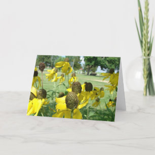 Gult Mexikanska Hat Flowers Kort
