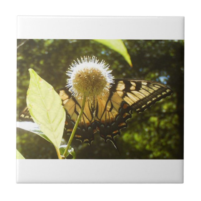 Gult Monarch Ceramic Tile Kakelplatta (Framsidan)