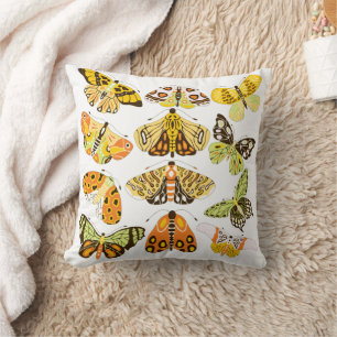Gult Moth and Butterfly Kudde