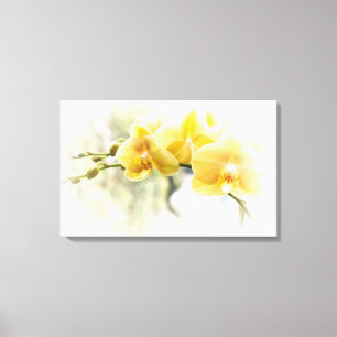 Gult Moth Orchid i Sunshine Canvastryck