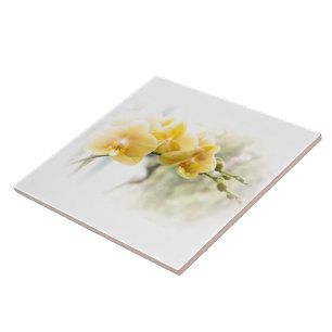 Gult Moth Orchid i Sunshine Kakelplatta