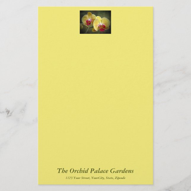 Gult Moth Orchids - Phalaenopsis Brevpapper (Framsida)