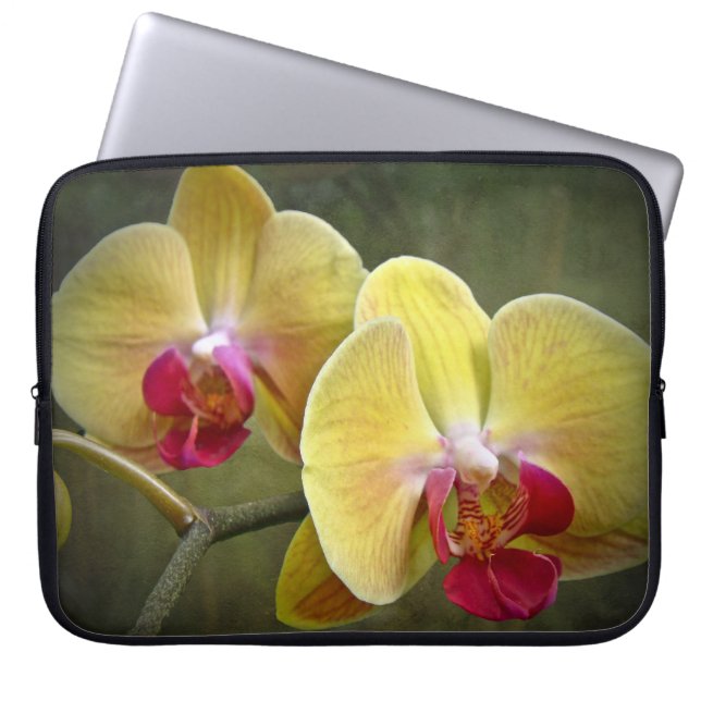 Gult Moth Orchids - Phalaenopsis Laptop Fodral (Framsidan)