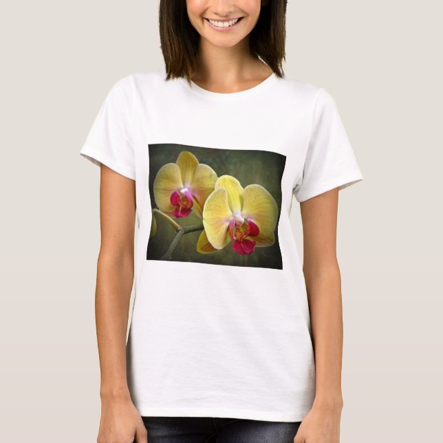 Gult Moth Orchids - Phalaenopsis Tee (Framsida)