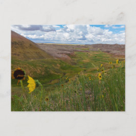 Gult Mounds Overlook, Badlands NP, South Dakota Vykort
