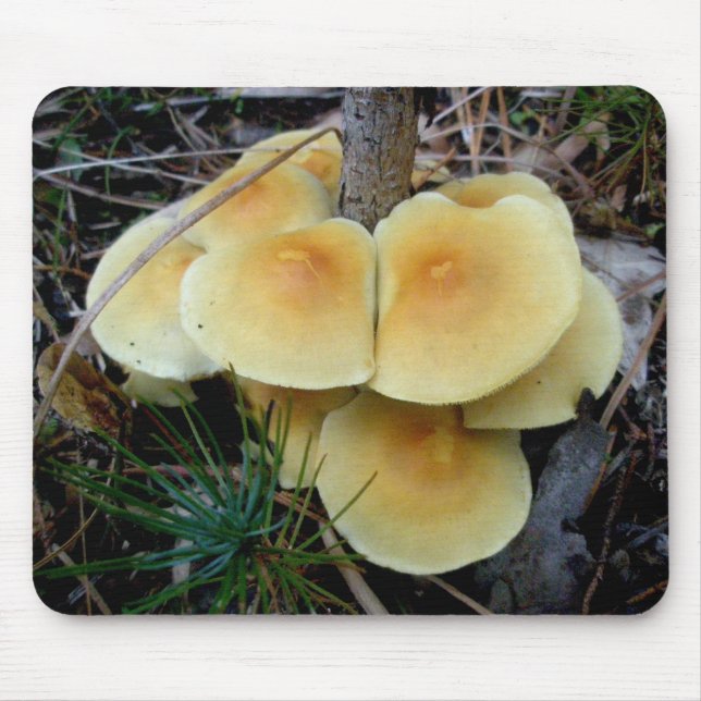 Gult Mushroom Colony OBX Mousepad Musmatta (Framsidan)