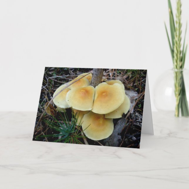 Gult Mushroom Colony OBX Note Card Helgkort (Framsida)