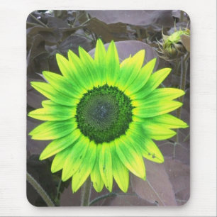 Gult N Grönt Solros Mousepad Musmatta
