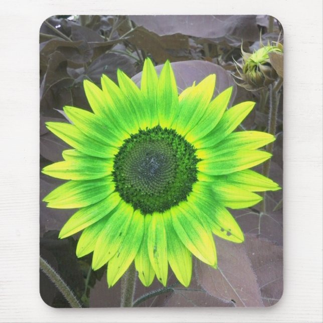 Gult N Grönt Solros Mousepad Musmatta (Framsidan)