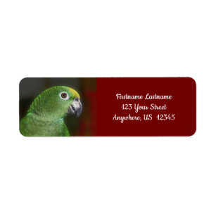Gult Naped Amazon Parrot Close Up Bird Adress Returadress Etikett