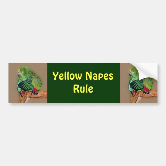 Gult Naped Amazons Rule Bumper Sticker Bildekal (Framsidan)