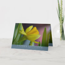 Gult narcissus blomC0743 Grattis på födelsedagen