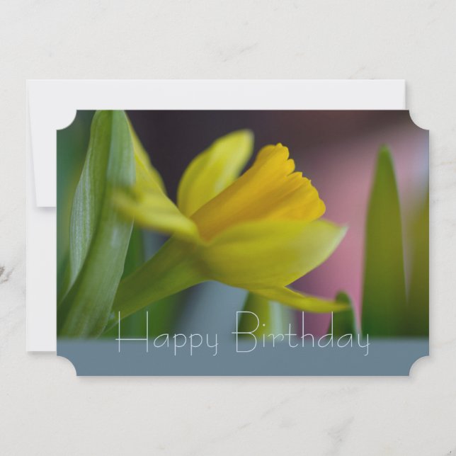 Gult narcissus blomC0744 Grattis på födelsedagen Kort (Framsida)