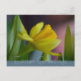 Gult narcissus-blomma CC0735 Påsk hälsning Helg Vykort
