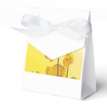 Gult Narcissus Daffodil Fab Flower Blommigt