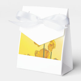 Gult Narcissus Daffodil Fab Flower Blommigt Presentaskar