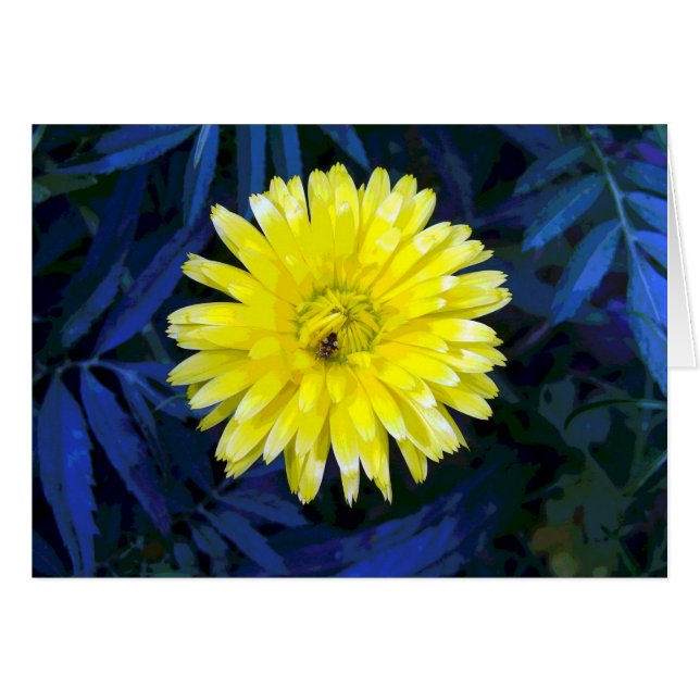 Gult och blå hälsningskort (Framsidan Horizontal)