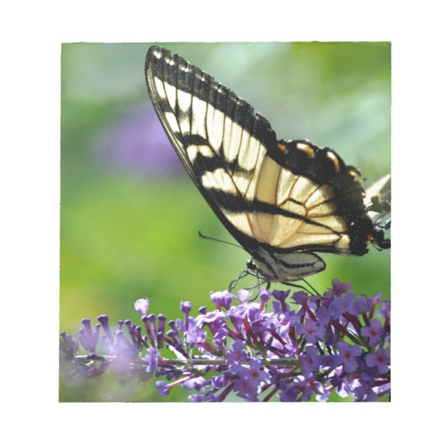 Gult och Black Butterfly på Lavender Anteckningsblock (Framsida)