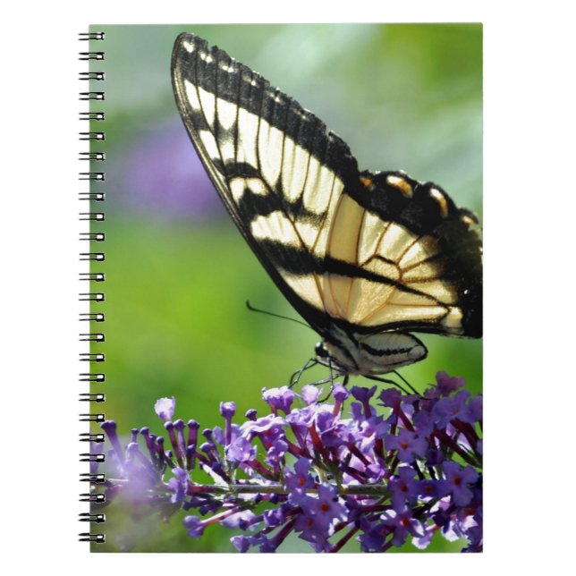 Gult och Black Butterfly på Lavender Anteckningsbok Med Spiral (Framsidan)