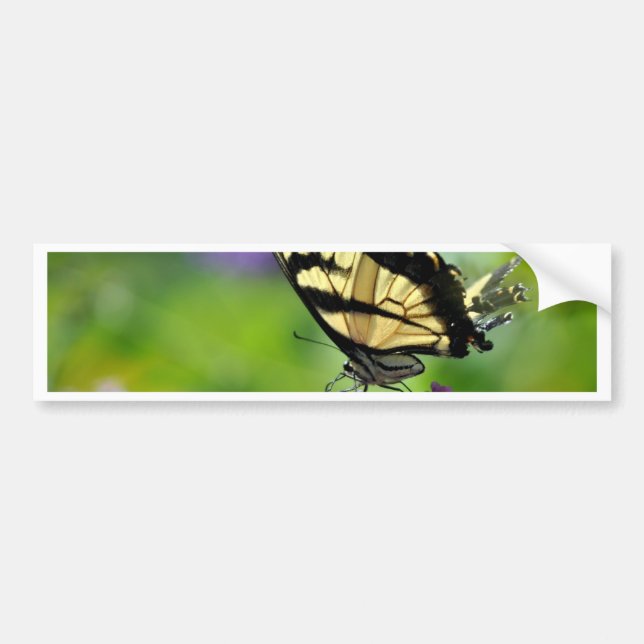 Gult och Black Butterfly på Lavender Bildekal (Framsidan)