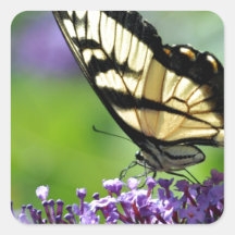 Gult och Black Butterfly på Lavender
