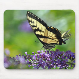 Gult och Black Butterfly på Lavender Musmatta