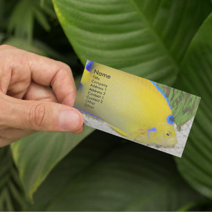Gult och Blue Queen Angelfish Photo Visitkort