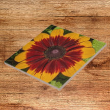 Gult och Bronze Rudbeckia Blommigt