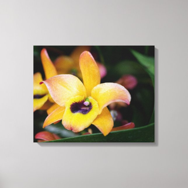 Gult och Brown Orchid Canvastryck (Framsida)