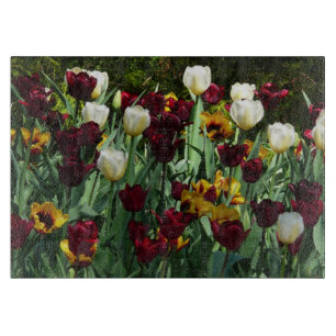 Gult- och färgtulpanfärgad Blommigt