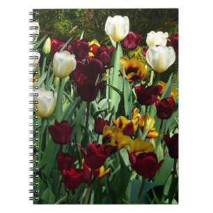 Gult- och färgtulpanfärgad Blommigt Anteckningsbok Med Spiral