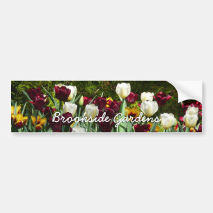 Gult- och färgtulpanfärgad Blommigt Bildekal