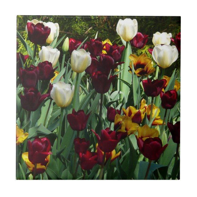 Gult- och färgtulpanfärgad Blommigt Kakelplatta (Framsidan)