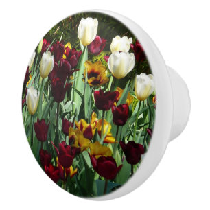 Gult- och färgtulpanfärgad Blommigt Knopp