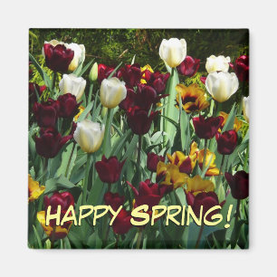 Gult- och färgtulpanfärgad Blommigt Magnet