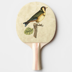 Gult och Grönt Bird Perched on a Little Gren Pingisracket